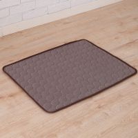 Pet Dog Cat Ice Silk Cold Nest Pad For Cooling In Summer (Option: Brown-50x40cm)